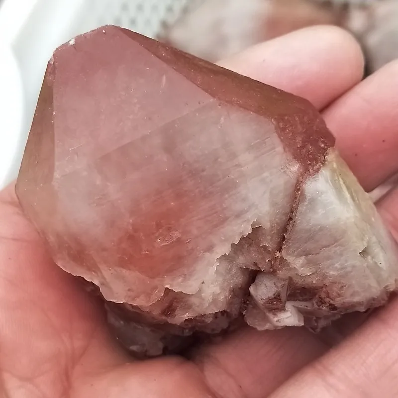 conew_img20190329082732