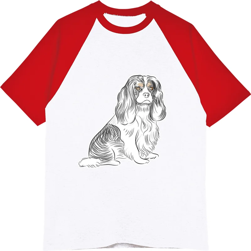 Men's Cotton Raglan Sleeves O neck T Shirt Cavalier King Charles