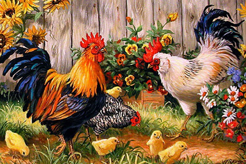 Diamond Painting Animals Cock Painting Diamond Painting Supplies DIY 5D