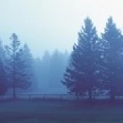 Misty forest Quebec Canada Poster Print (18 x 6)