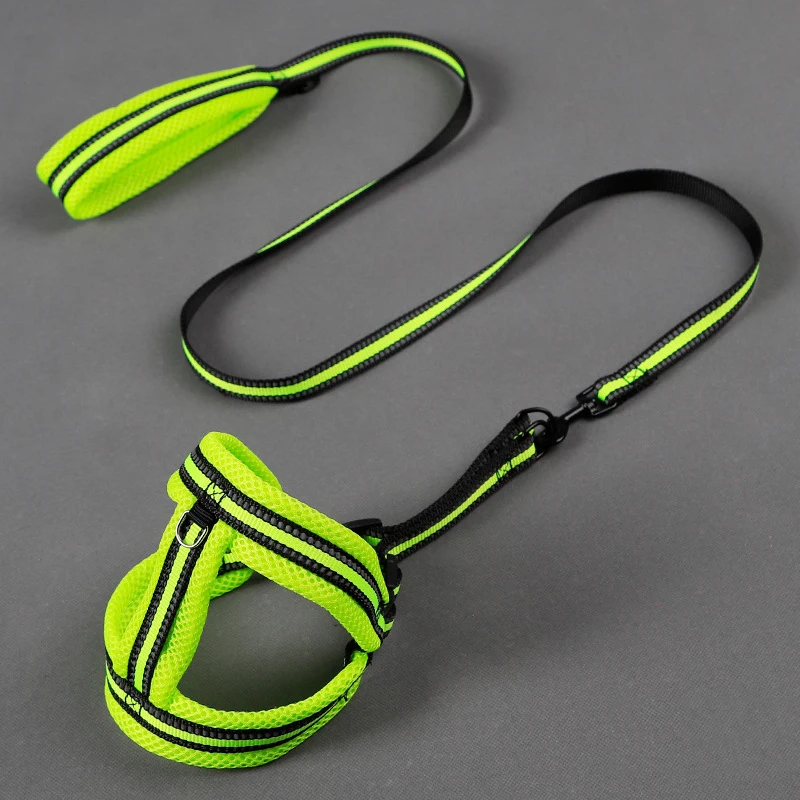 10772816443_181355791