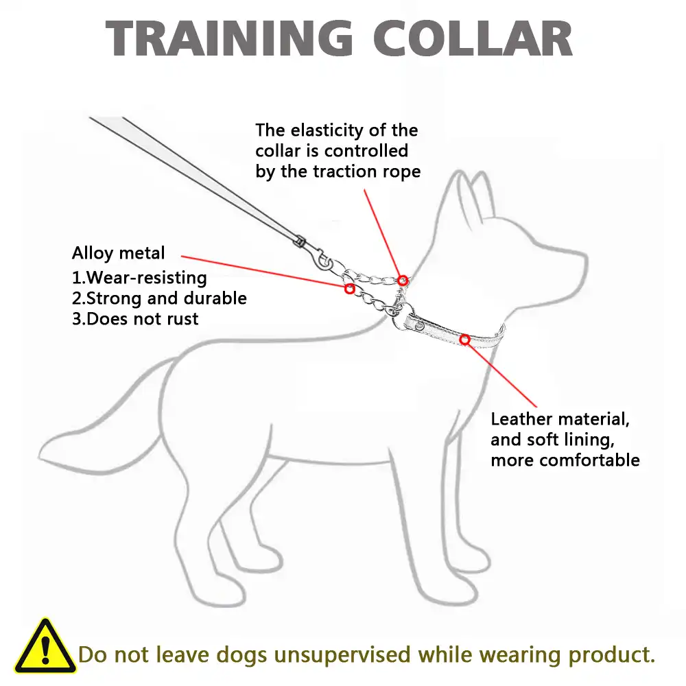 dog half choke collar