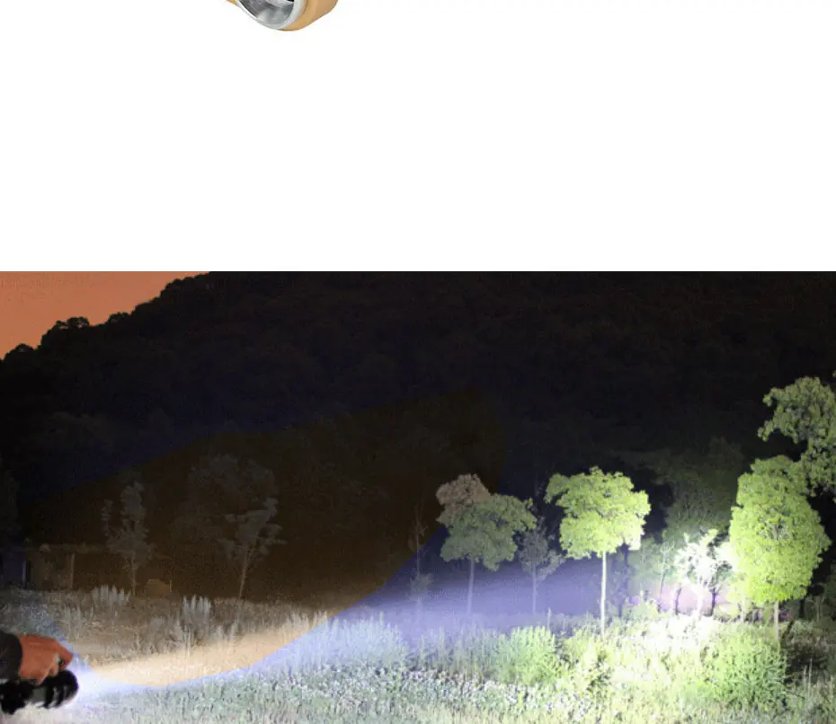 Flashlight (14)