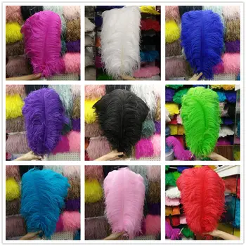 

Wholesale hot 50 PCS ostrich feathers Multicolor 50-55 cm/20-22 inches plume wedding performing art decoration feather