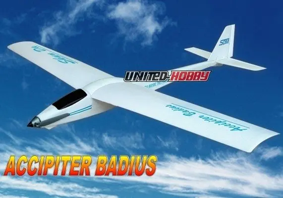 accipiter badius rc plane