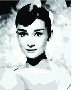 

MaHuaf-W1030 Audrey Hepburn Framed Acrylic Painting by Number kit digital canvas paintings for living room 40x50