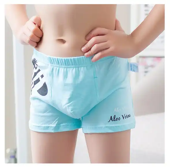 4 PCS Sets 100 Cotton Girls Boys Underwear Comfortable Children Boxer