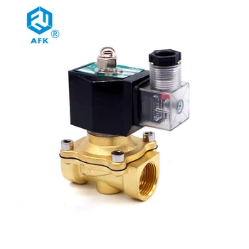 

Brass Normally Closed 12v 220v ac 1/2 inch Gas Solenoid Valve
