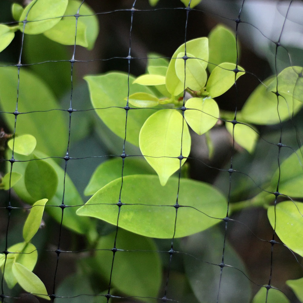 Garden Mesh Plastic Anti Bird Netting Pond Net Protection Crops Fruit Tree Vegetables Flower Protect Pest Control