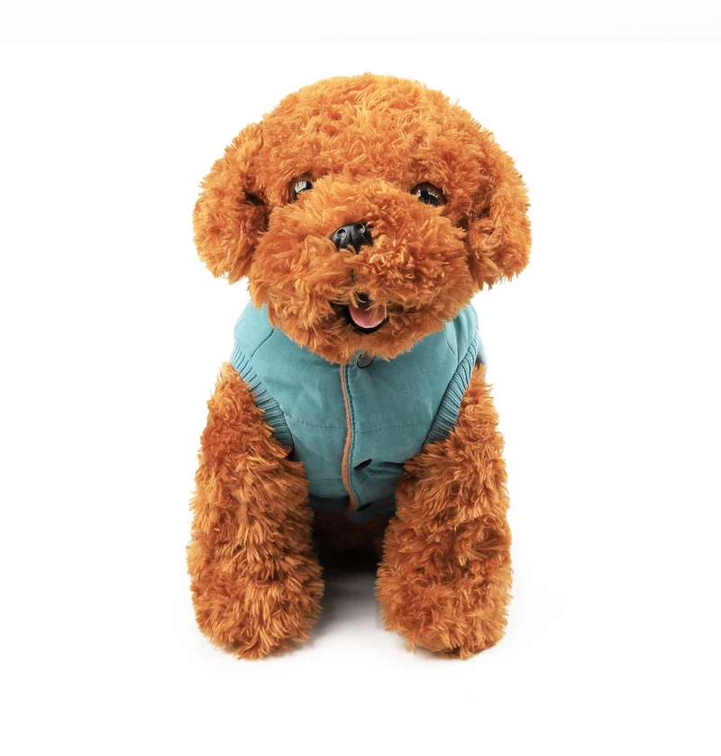 13 pug dog clothes 