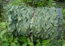 3X3M Green Militay camouflage net Hunting Camo Netting Sun Shade Shelter for Hunting Outdoor decoration