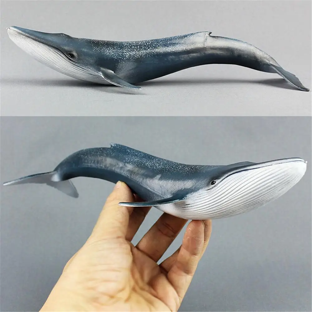 Большой океан sealife животные Emulational синий кит Кит Акула животная модель игрушка