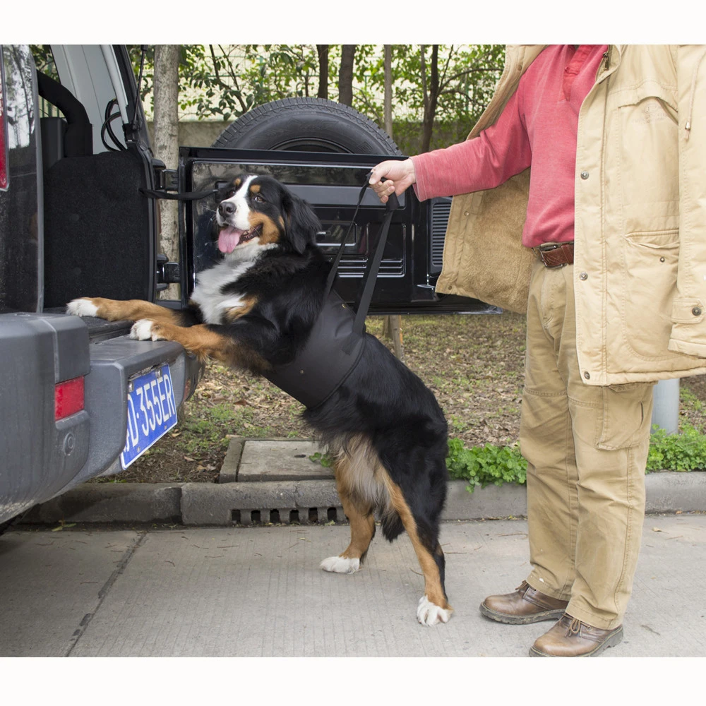 large dog carrying harness