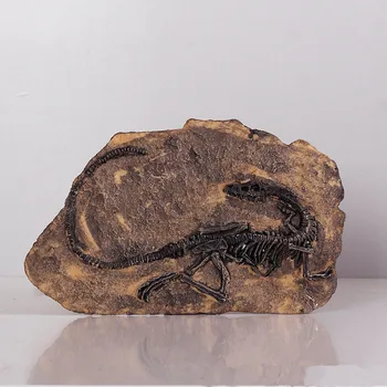 

European Style Retro Dinosaur Collection Of Fossils Wall Hanging Creative Resin Artware The Office Decoration L929