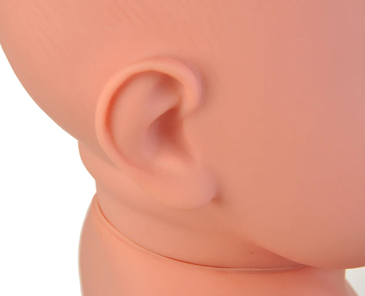 HTB1oTmyRpXXXXaeXVXXq6xXFXXXg