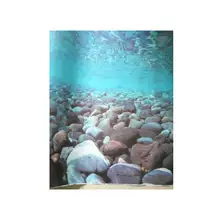 9079 17," x 48" двухстороннее украшение аквариума речной скалы Пейзаж Плакат рыбный бак фоновая картина настенный Декор Глянцевая
