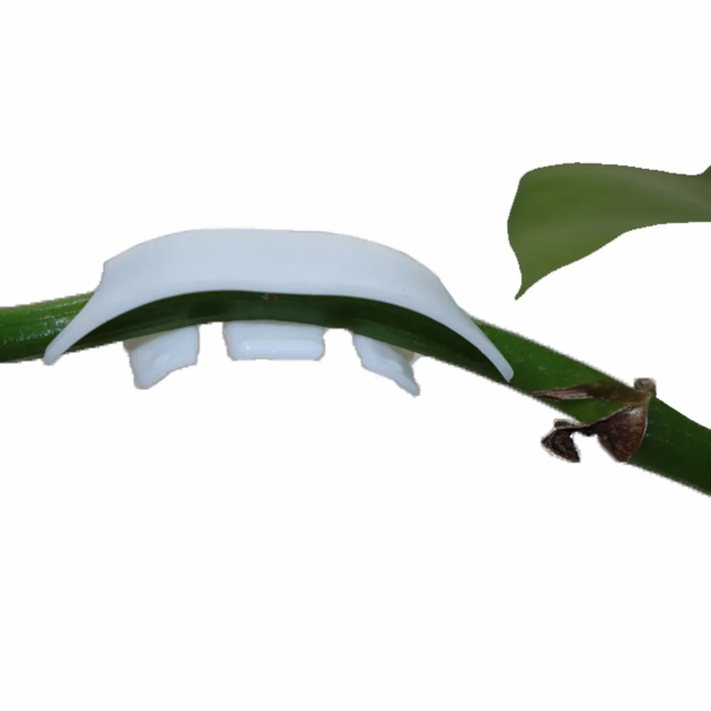 150pcs Tomato Fruit Strengthen Clips Clip Vine Fruit Vine Plant Tree Branches To Strengthen Support Clip Tool Giardino