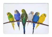 Floor Mat Simple Styel Parrots bird High Quality Print Non-slip Rugs Carpets alfombra For Indoor Outdoor living kids room
