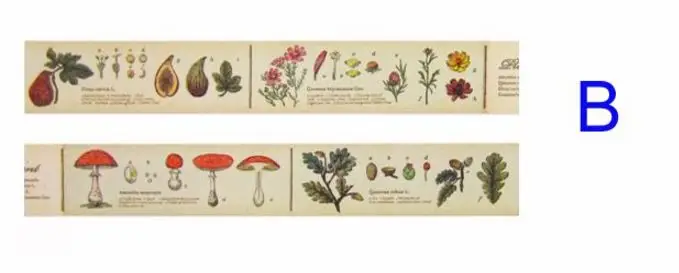 MT EX серия Маскировочная лента животные растения минералы солнечная система цифры васи лента Япония - Цвет: Plant