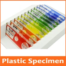 Подарок на день рождения 12 шт., студентов и школьников, развивающие Пластик слайды подготовленные для микроскопа Биологический образец для игрушка детский микроскоп