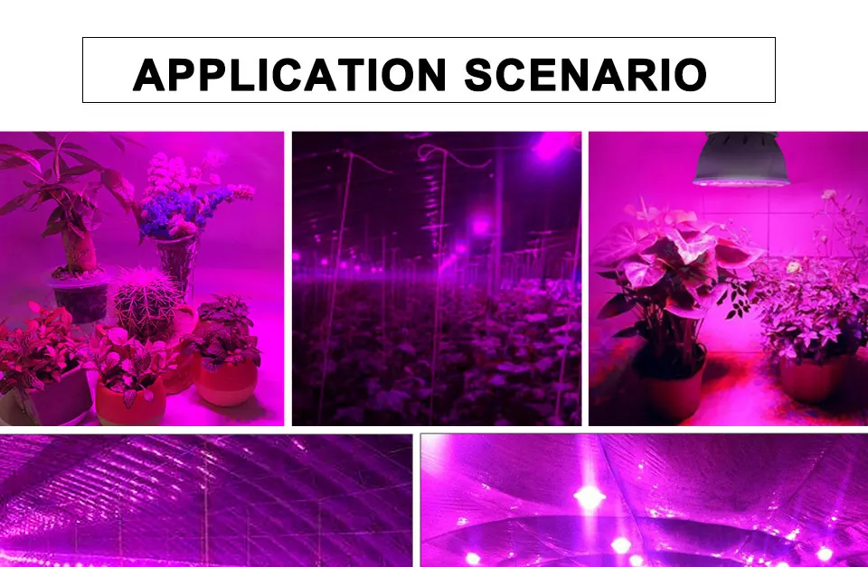 4pcs E27 LED Grow Light Full Spectrum Led Plant Lamp 220V Red Blue Phyto Lamp For Plants Indoor Greenhouse Hydroponics Grow Box (9)