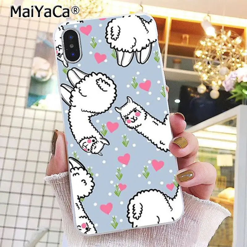 Lama Llama Alpacas Animal