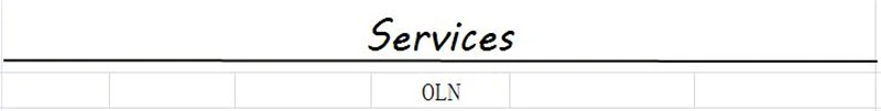 003service