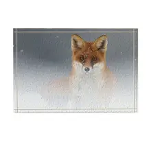 Сафари Декор лес дикая лиса стоящая на снегу Ванна коврики Нескользящие дверной коврик пол подъезды передняя дверь коврик