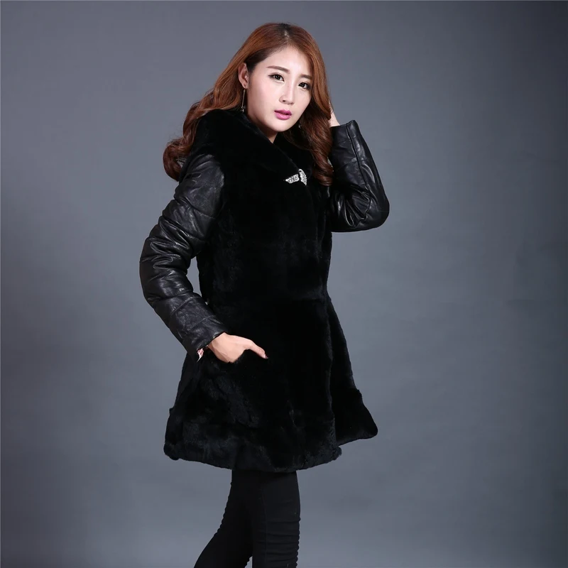 LF4123 (1)