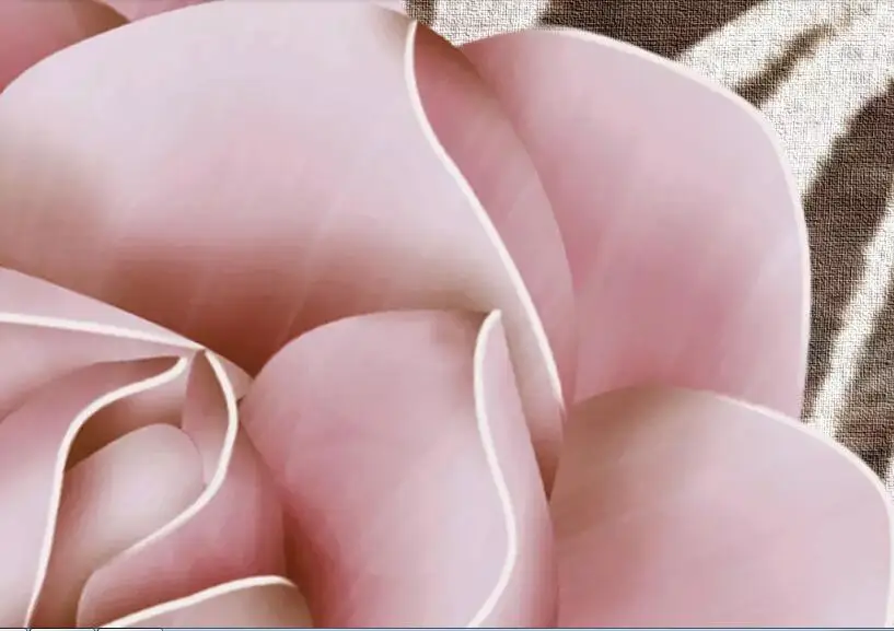 QQ20190403231319