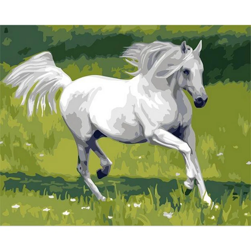 Unique Gift Draw Painting By Numbers Run Horse DIY Oil Painting By ...