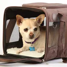 Оригинальная Роскошная авиакомпания для путешествий