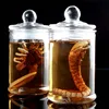 Mnotht 1/6 Solider Scene Model SG001/SG002 Predator Alien Larva Face Bug Culture Tank Set Model  l30 ► Photo 1/5