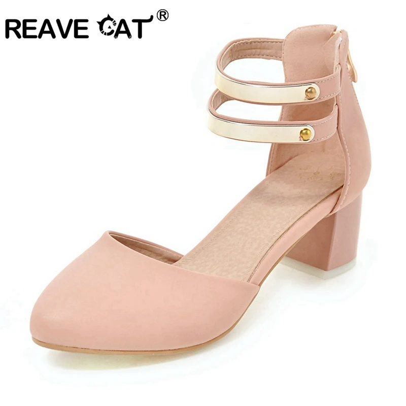 cat with high heels