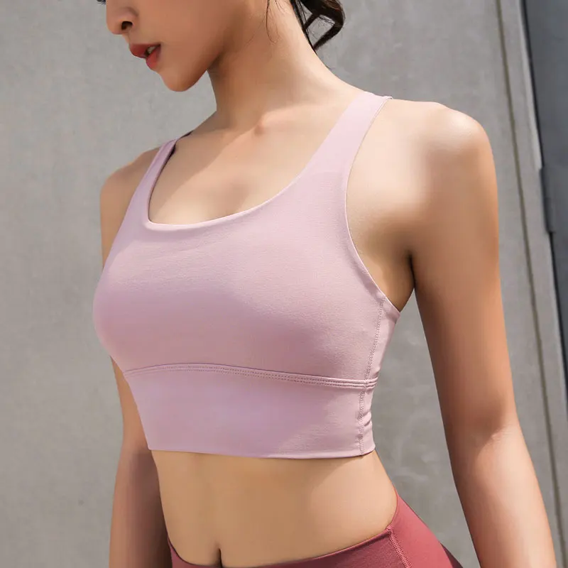 Purplish red Bra (8)