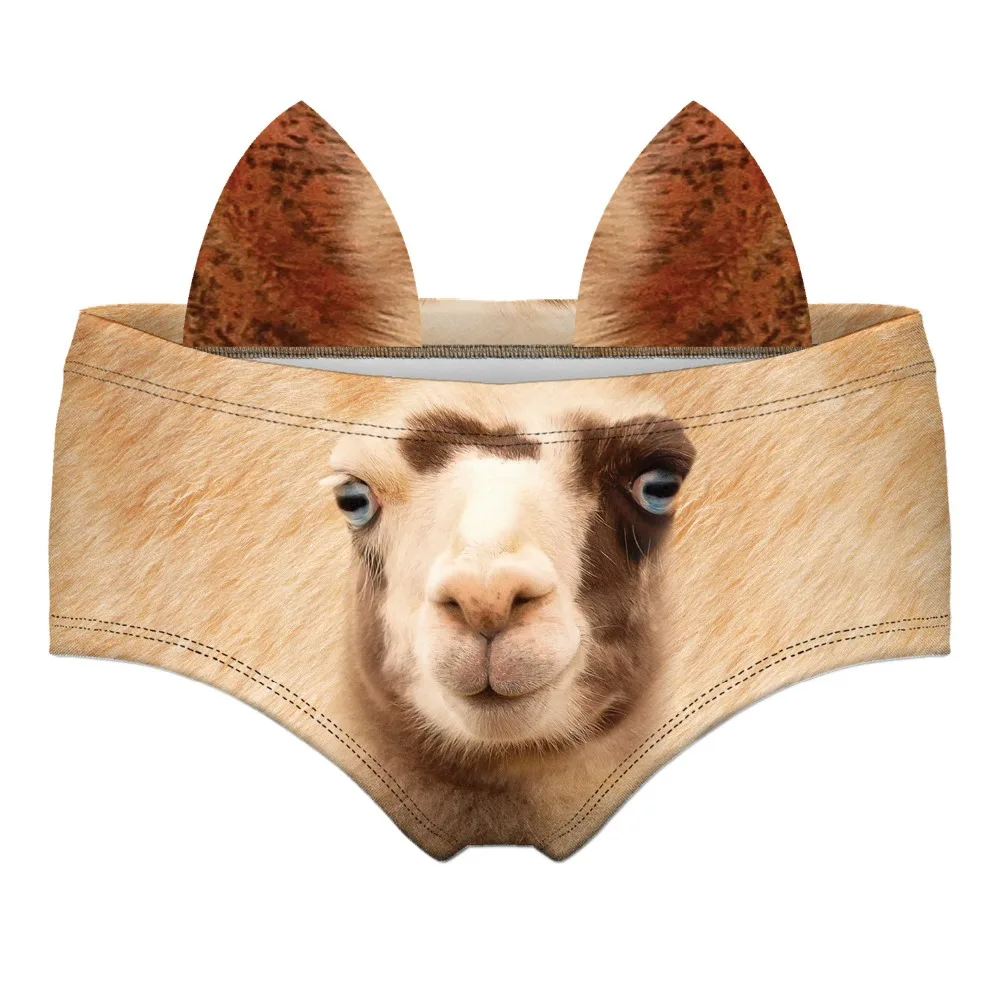 55460 LLAMA wiz front