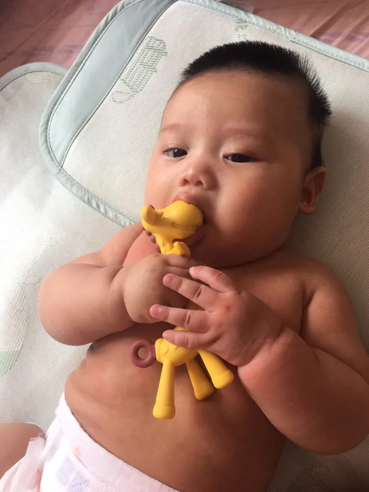 Япония KJC Прорезыватель Жираф Детские зубные палочки 3-6-12 месяцев жевательная игрушка палка пищевой TRP смолы