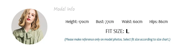 MODEL INFO 1 L