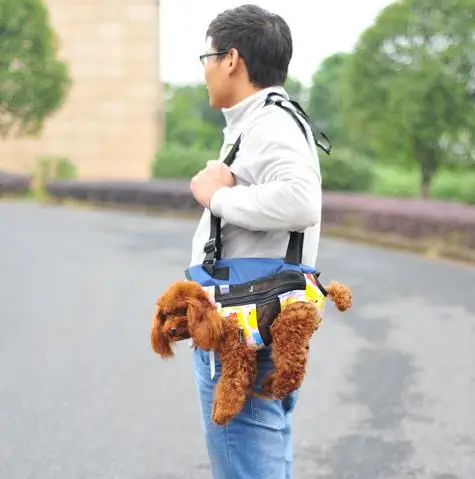 Рюкзак для домашних животных мягкая нагрудная сумка из парусины сумка для переноски собак многофункциональная Передняя сумка для собак портативный рюкзак ножки вид спереди