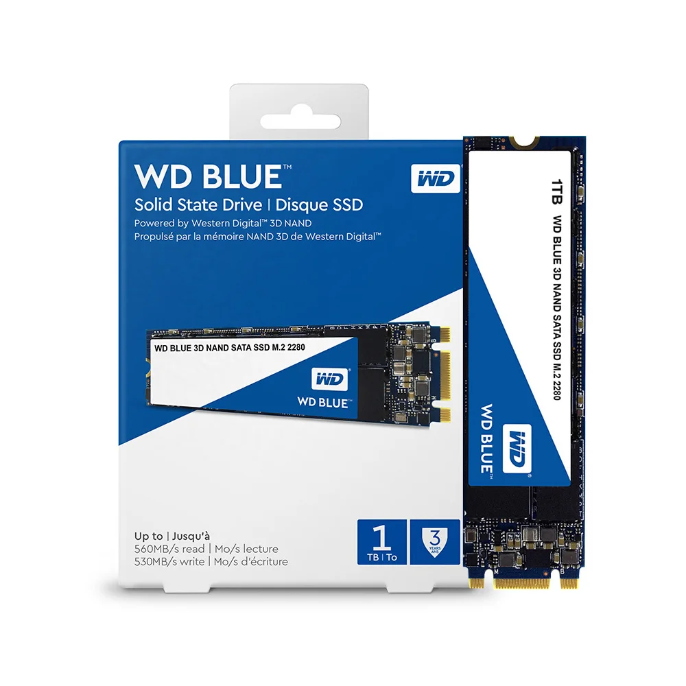 

Western Digital WD Blue 1TB PC SSD 3D NAND SATA3 6GB/s M.2 2280 Solid State Drive Hard Disk for PC Laptop(WDS100T2B0B)