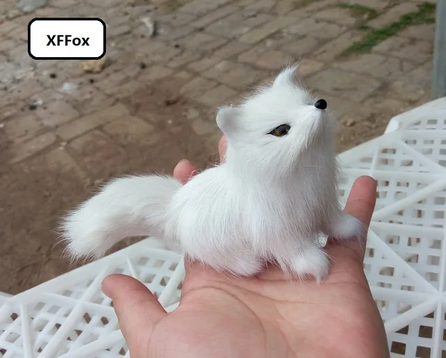 Introducing the Cute Real Life White Fox Model by XFFox