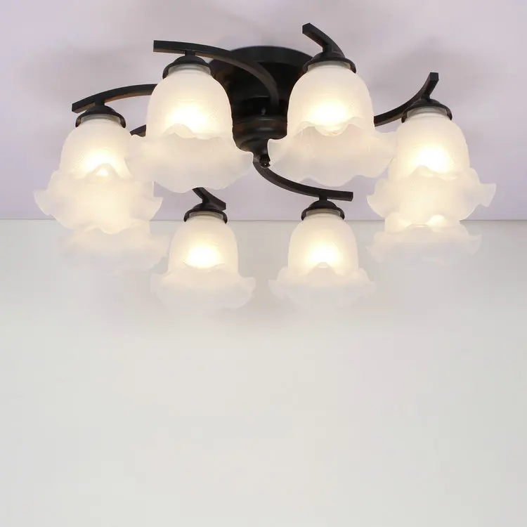 

Ceiling light Ceiling light European-style living room Ceiling chandelier Simple style modern garden bedroom Ceiling decoration