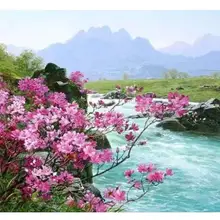 4055 краска по комплекты номеров для взрослых DIY