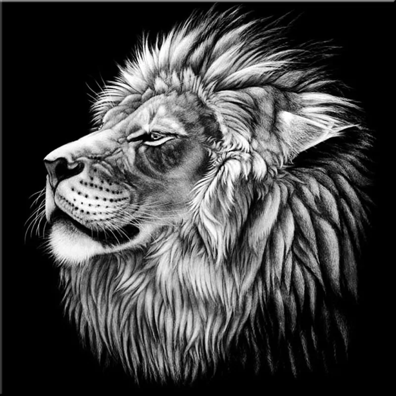 

Cutiepop Home Decoration Accessories 5D Resin Diamond Painting King Lion Rhinestone Picture Paste Mosaic Embroidery NCP171