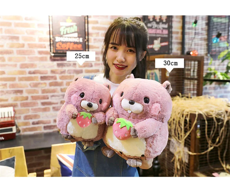 DOLLS (6)