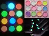 12 colors Neon Noctilucent Nail Flakes/ Glow In The Dark Powder Fluorescent Luminescent Nail Art Pigment/ Glowing nail art powde ► Photo 1/3