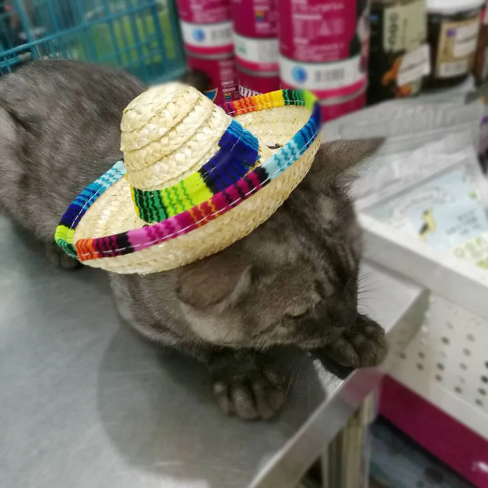 Мексиканская Соломенная Шапка для домашних животных, шапка для собак, кошек, повязка на голову, регулируемый головной убор, костюмы, лента для волос, шляпа для фестиваля, лента для кошек, собак, L* 5