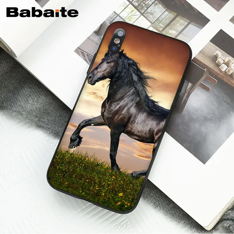 Horse Animal