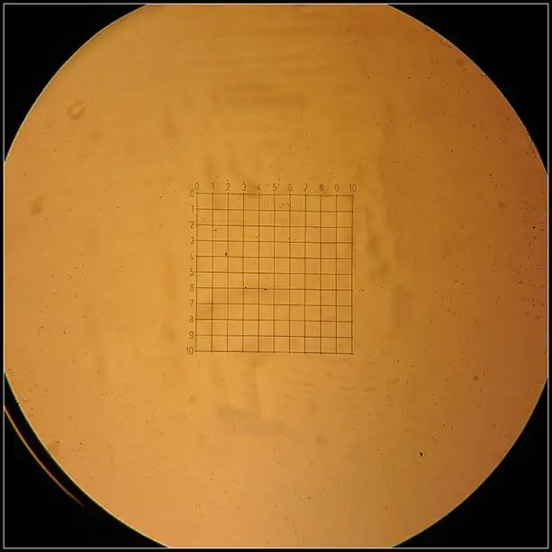 MS-1-H-03