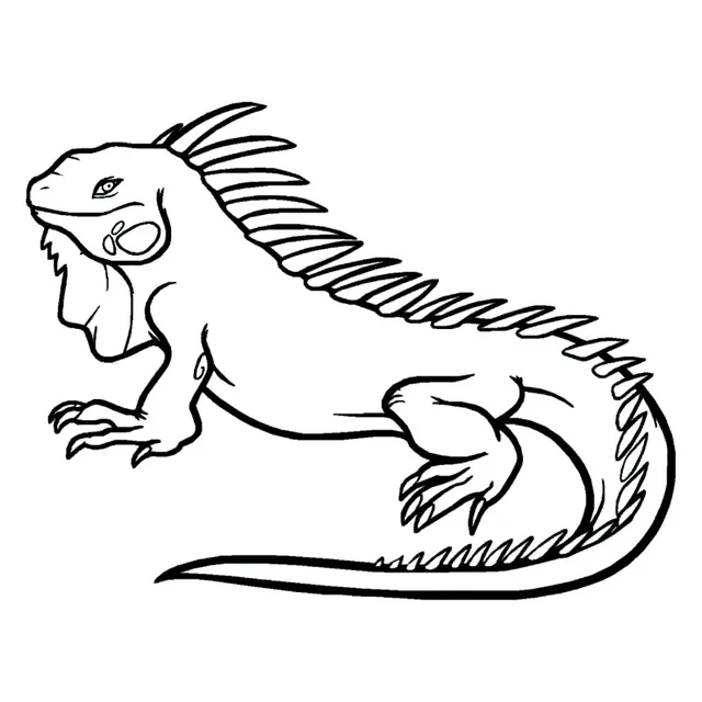 24 18 5 Cm Iguana Iucertola Hidup Mobil Styling Decal Vinyl Liar